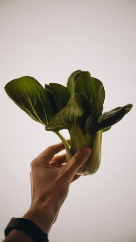 a hand holding a plant with green leaves