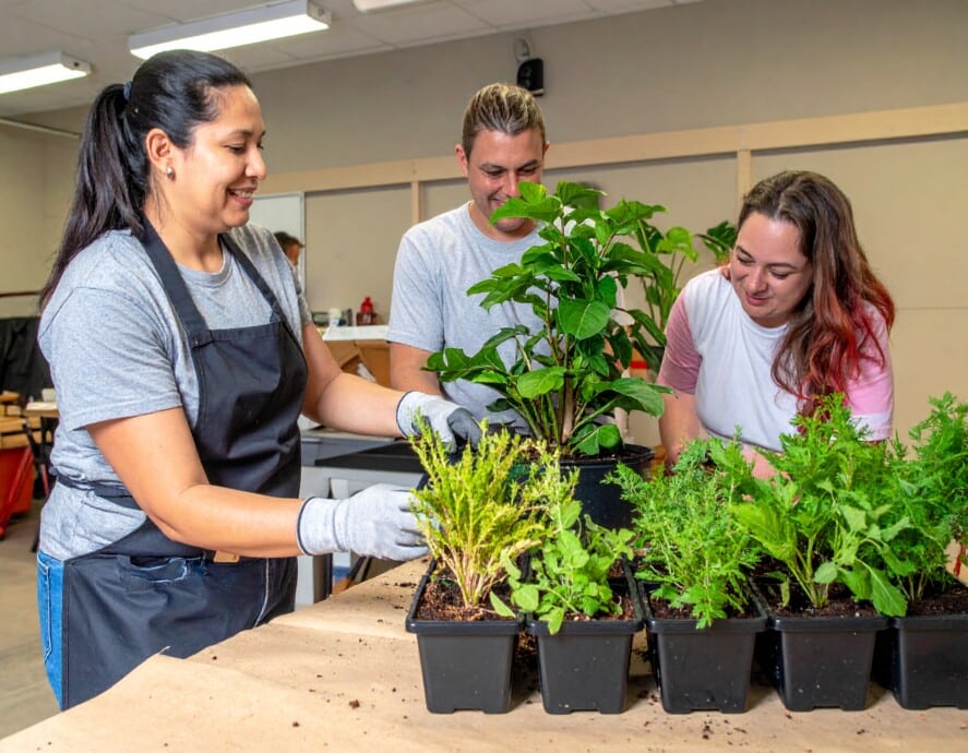 Grow Your Dreams: Explore Our Upcoming Workshops & Tours! — Troppo NZ