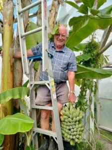 From Kiwifruit to Jackfruit: A Tropical Parad — Troppo NZ