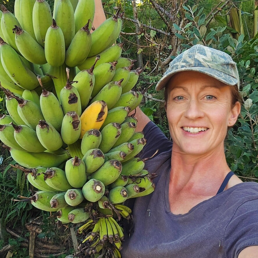 From IT to Orchard — Troppo NZ
