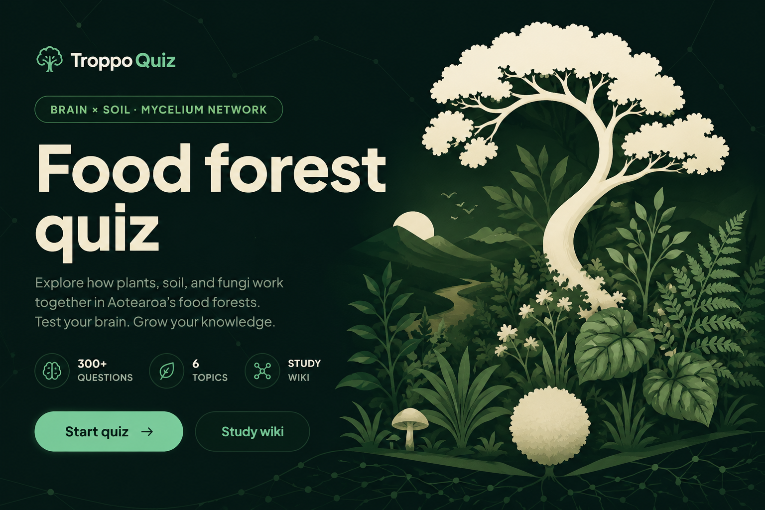 https://quiz.troppo.nz/ https://quiz.troppo.nz/